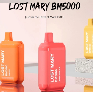 Lostmary BM5000 Puff Verfesable